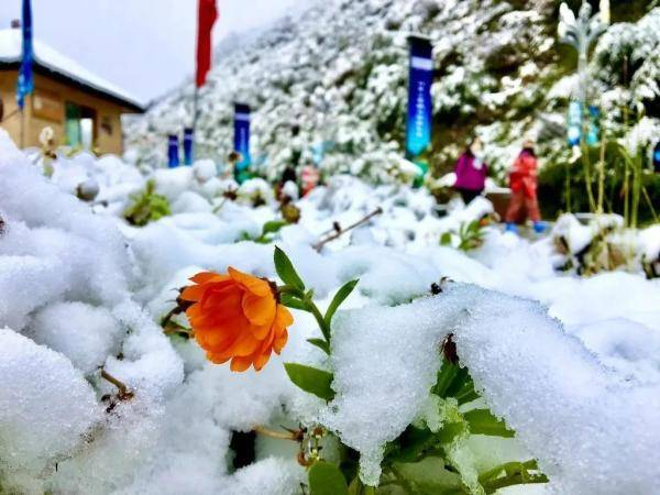 四川多景区解锁雪景模式，今年冬天来得这么早吗？