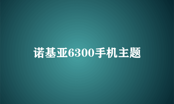 诺基亚6300手机主题