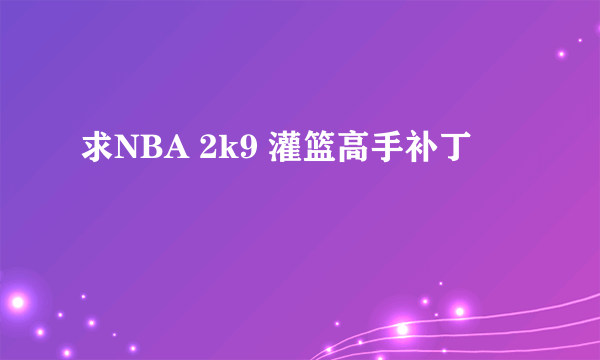 求NBA 2k9 灌篮高手补丁