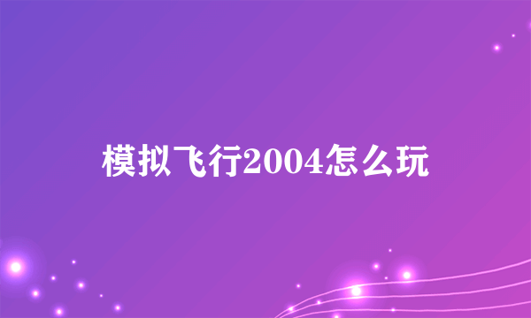 模拟飞行2004怎么玩