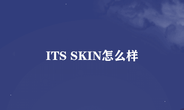 ITS SKIN怎么样