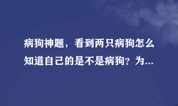 病狗神题，看到两只病狗怎么知道自己的是不是病狗？为什么会得出第几天开枪就有几只病狗的结论