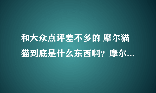 和大众点评差不多的 摩尔猫猫到底是什么东西啊？摩尔猫猫网站好吗？