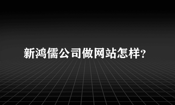 新鸿儒公司做网站怎样？