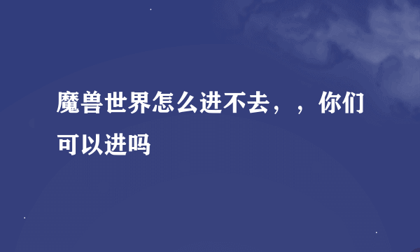 魔兽世界怎么进不去，，你们可以进吗