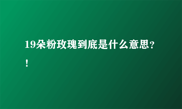 19朵粉玫瑰到底是什么意思？！