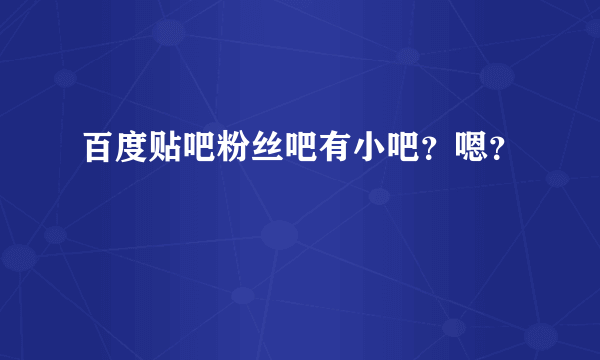 百度贴吧粉丝吧有小吧？嗯？