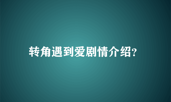 转角遇到爱剧情介绍？