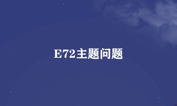 E72主题问题