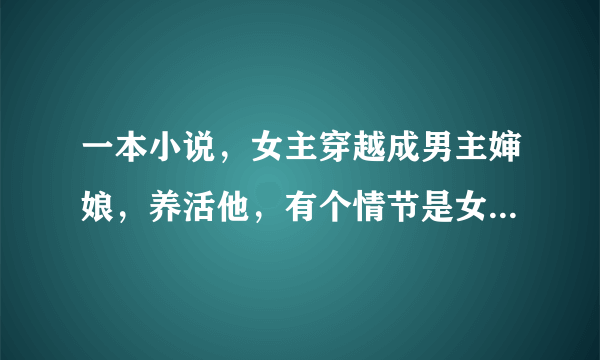 一本小说，女主穿越成男主婶娘，养活他，有个情节是女主吃男主师傅醋