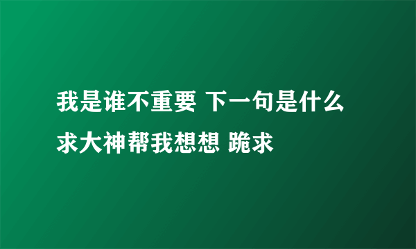 我是谁不重要 下一句是什么 求大神帮我想想 跪求