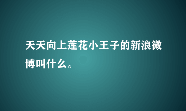 天天向上莲花小王子的新浪微博叫什么。