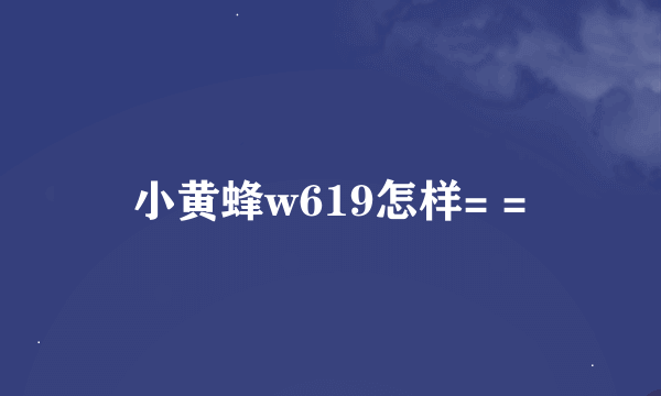 小黄蜂w619怎样= =