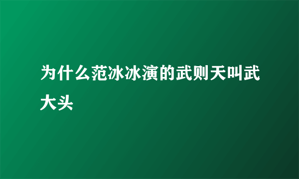 为什么范冰冰演的武则天叫武大头