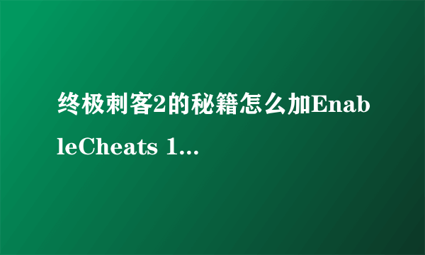 终极刺客2的秘籍怎么加EnableCheats 1？？？？