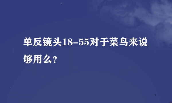 单反镜头18-55对于菜鸟来说够用么？