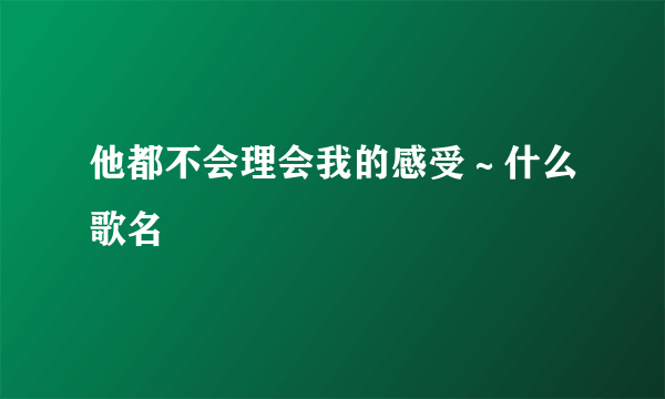 他都不会理会我的感受～什么歌名