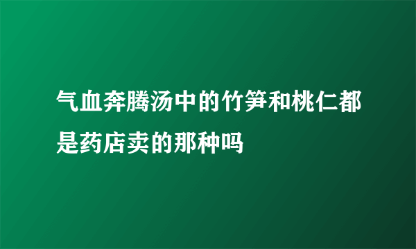 气血奔腾汤中的竹笋和桃仁都是药店卖的那种吗