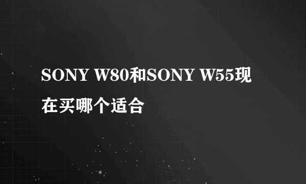 SONY W80和SONY W55现在买哪个适合