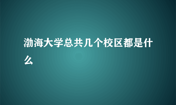 渤海大学总共几个校区都是什么