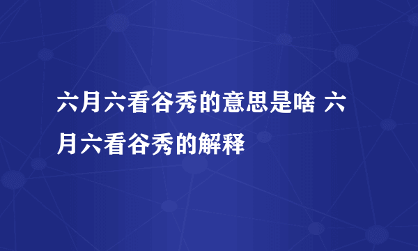 六月六看谷秀的意思是啥 六月六看谷秀的解释