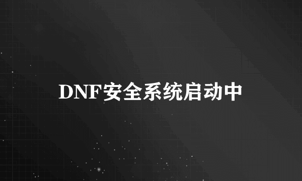 DNF安全系统启动中