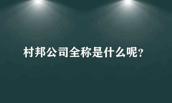 村邦公司全称是什么呢？