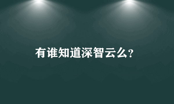 有谁知道深智云么？