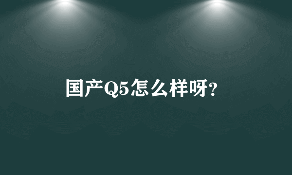 国产Q5怎么样呀？