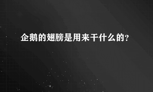 企鹅的翅膀是用来干什么的？