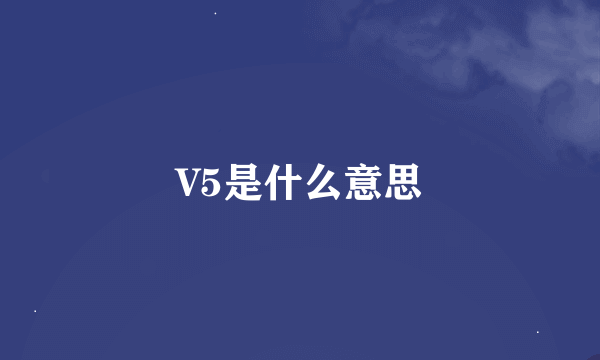 V5是什么意思