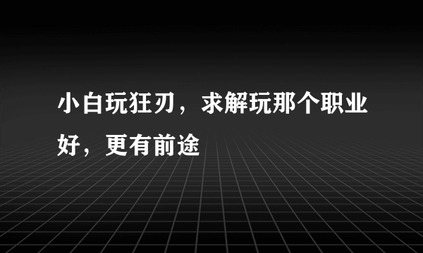 小白玩狂刃，求解玩那个职业好，更有前途