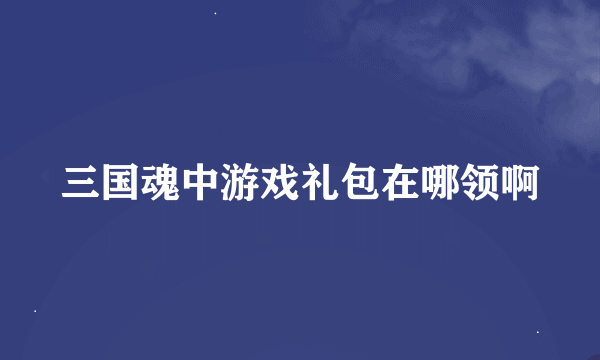 三国魂中游戏礼包在哪领啊