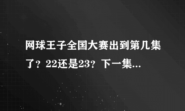 网球王子全国大赛出到第几集了？22还是23？下一集得等到什么时候啊？