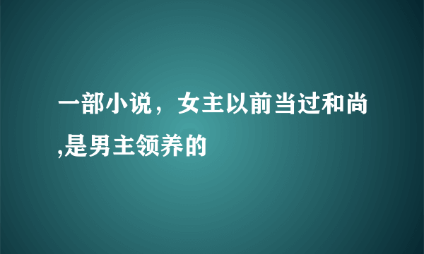 一部小说，女主以前当过和尚,是男主领养的