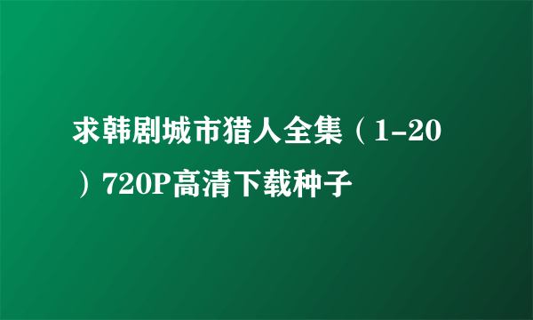 求韩剧城市猎人全集（1-20）720P高清下载种子