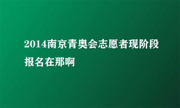 2014南京青奥会志愿者现阶段报名在那啊