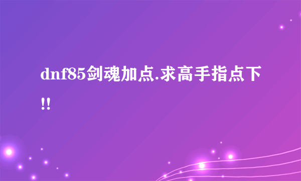 dnf85剑魂加点.求高手指点下!!