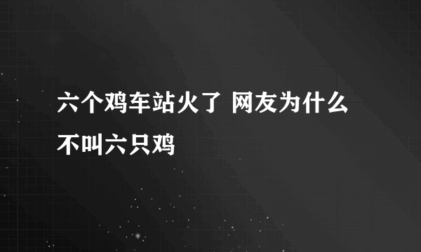 六个鸡车站火了 网友为什么不叫六只鸡