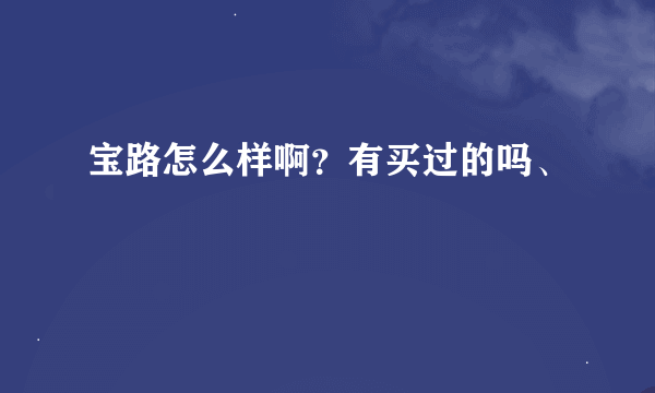 宝路怎么样啊？有买过的吗、