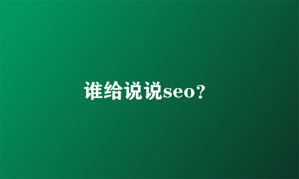 谁给说说seo？