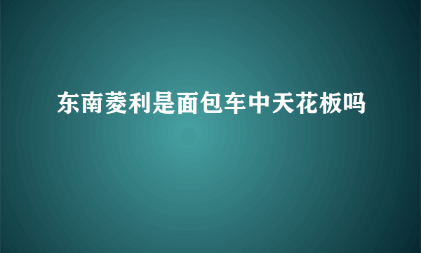 东南菱利是面包车中天花板吗