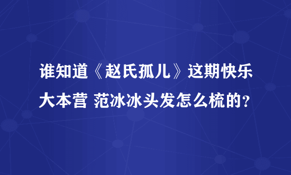 谁知道《赵氏孤儿》这期快乐大本营 范冰冰头发怎么梳的？