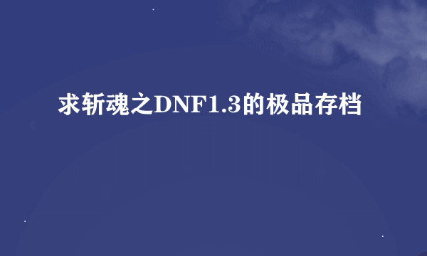 求斩魂之DNF1.3的极品存档