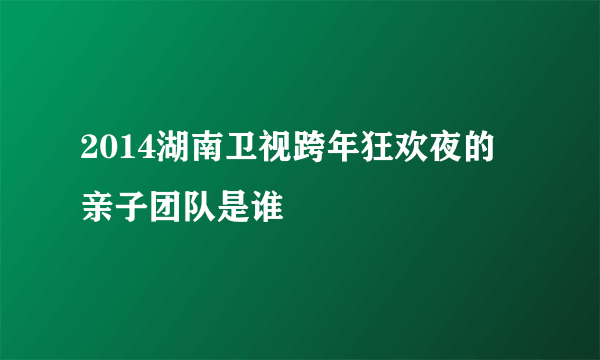 2014湖南卫视跨年狂欢夜的亲子团队是谁