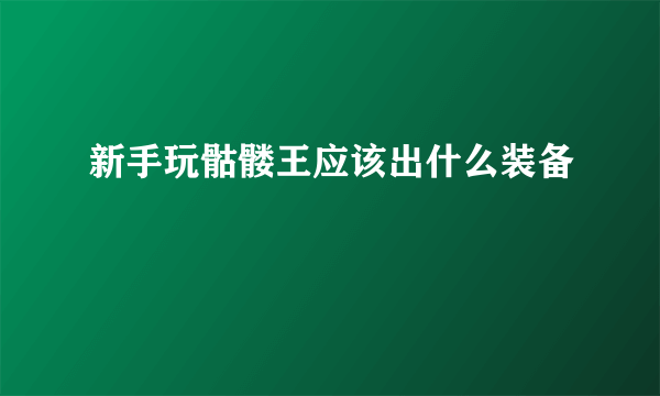 新手玩骷髅王应该出什么装备