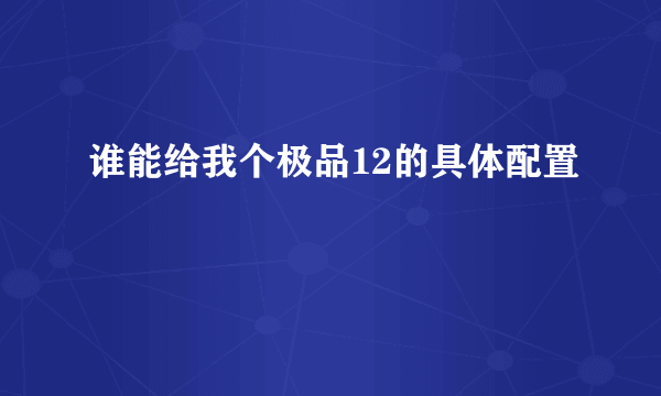 谁能给我个极品12的具体配置