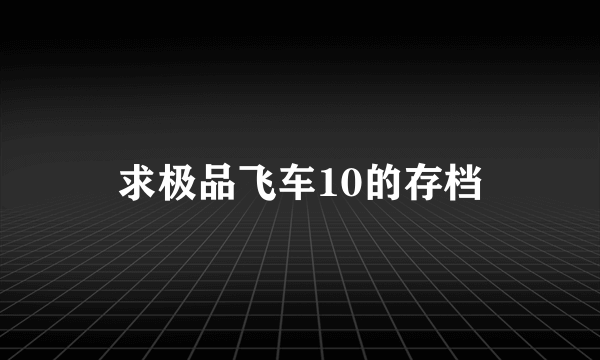 求极品飞车10的存档