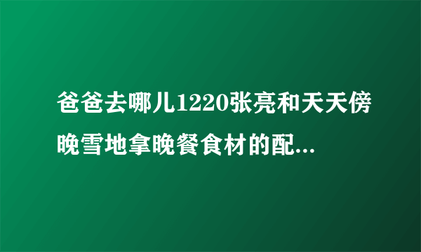 爸爸去哪儿1220张亮和天天傍晚雪地拿晚餐食材的配乐是什么？