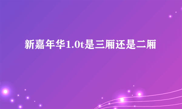 新嘉年华1.0t是三厢还是二厢